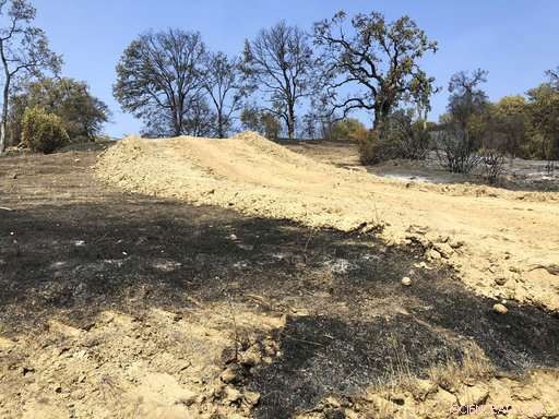 California Firefighters Restore Land After Wildfire Damage