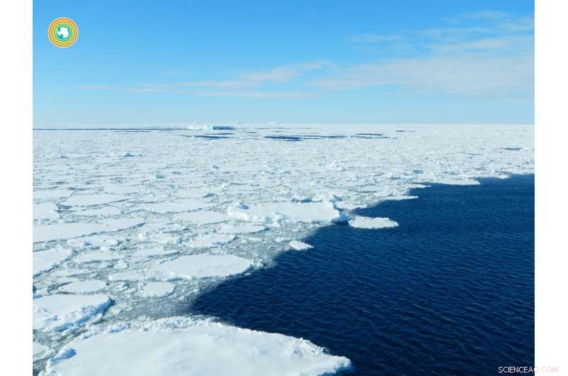 Autonomous Underwater Vehicles Reveal Unexpected CO₂ Release from Antarctic Winter Seas