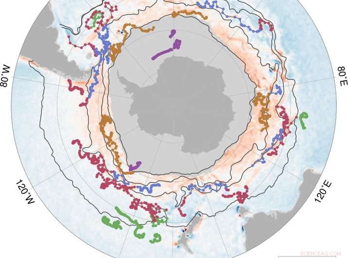 Autonomous Underwater Vehicles Reveal Unexpected CO₂ Release from Antarctic Winter Seas