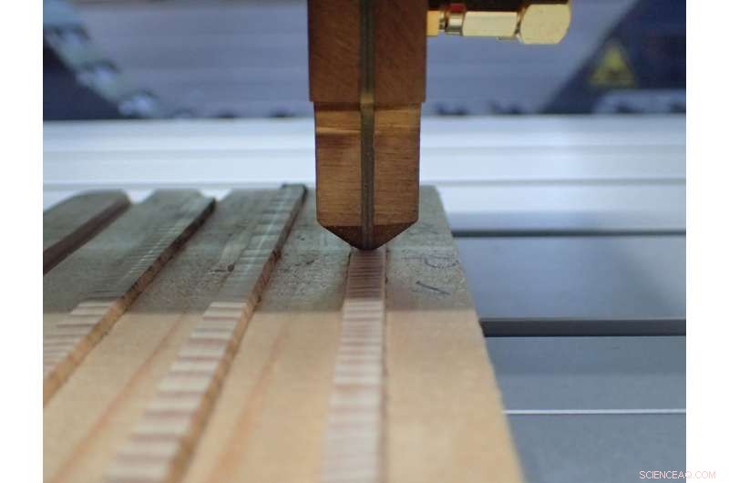 European Trees  Wood Density Declines Steadily Since 1870