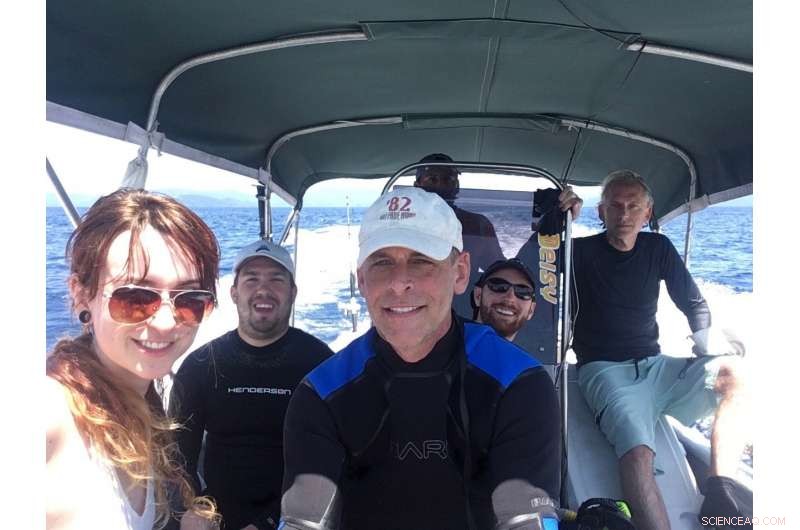 Ocean Health at Risk: Understanding Emerging Threats