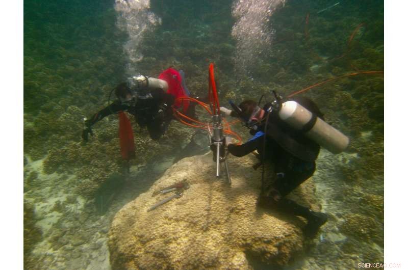 Ocean Health at Risk: Understanding Emerging Threats