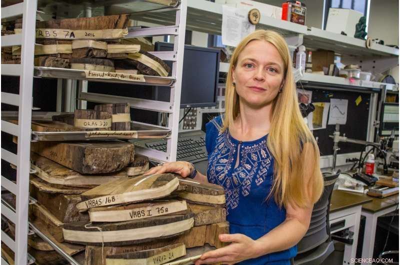 Precise Dating of the Minoan Thera Eruption Through Tree‑Ring Analysis