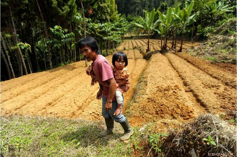 Global Study: Forest Conservation Improves Child Nutrition in 27 Developing Countries