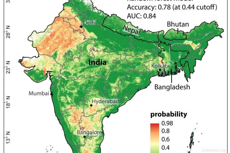India s Groundwater Fluoride Levels Exceed Safe Limits—New Model Maps High-Risk Areas