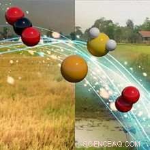 Simplified Predictive Model for Microbial Community Functions