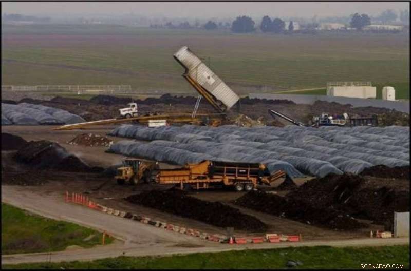 Bio‑Based Plastics: Cutting Waste Depends on Investment in Production and Disposal