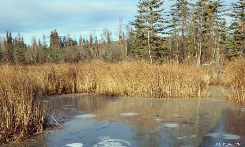 Rapid Lake‑Permafrost Thaw May Accelerate Climate Change, New Study Finds