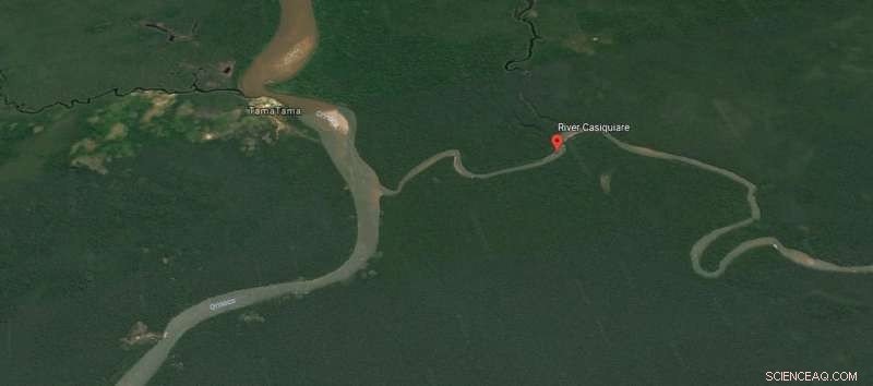 Amazon River Draws Water from Orinoco Through the Rio Casiquiare Distributary