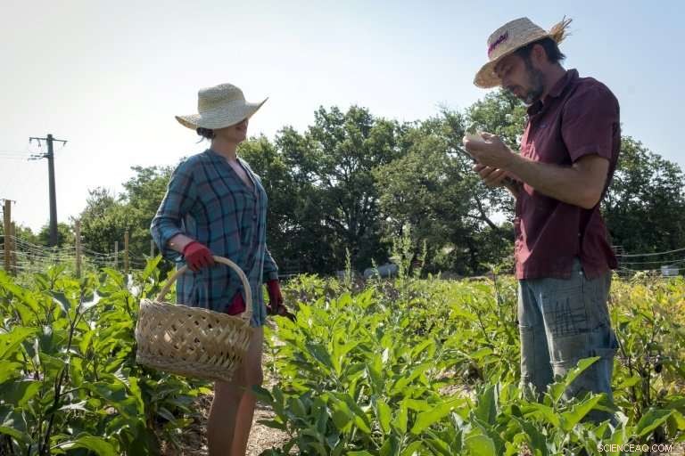 French Farm Cultivates the Next Generation of Farmers