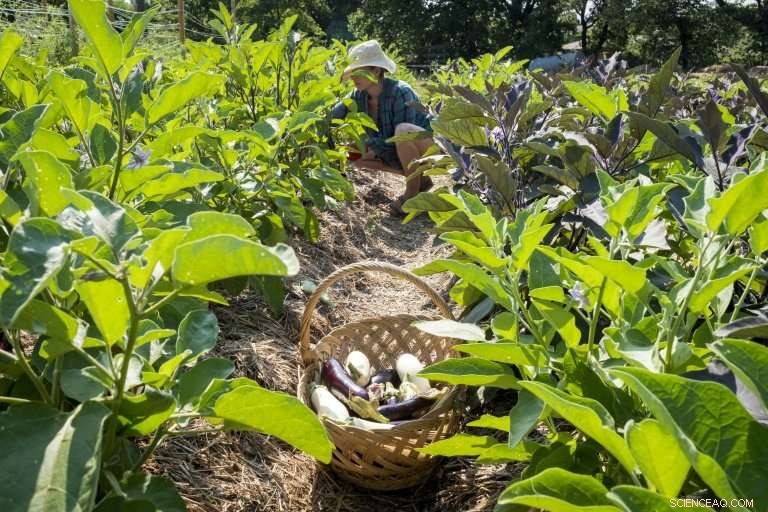 French Farm Cultivates the Next Generation of Farmers