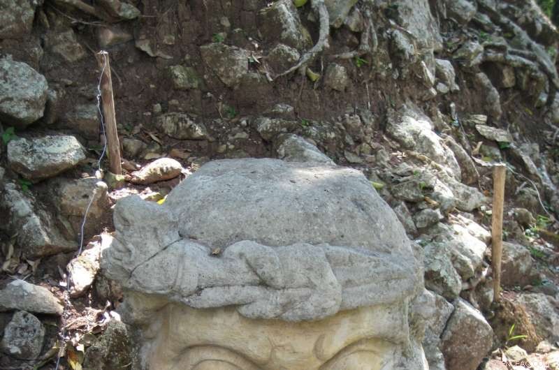 Ancient Mayan Deforestation Still Shapes Carbon Reserves in Central American Soils