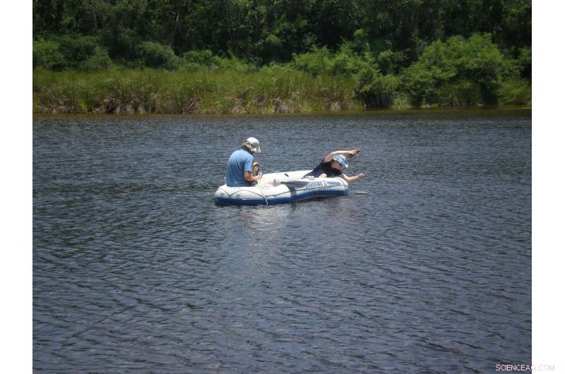 Ancient Mayan Deforestation Still Shapes Carbon Reserves in Central American Soils