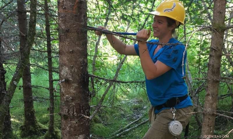Eastern US Trees Show Remarkable Climate Adaptation and Acclimation