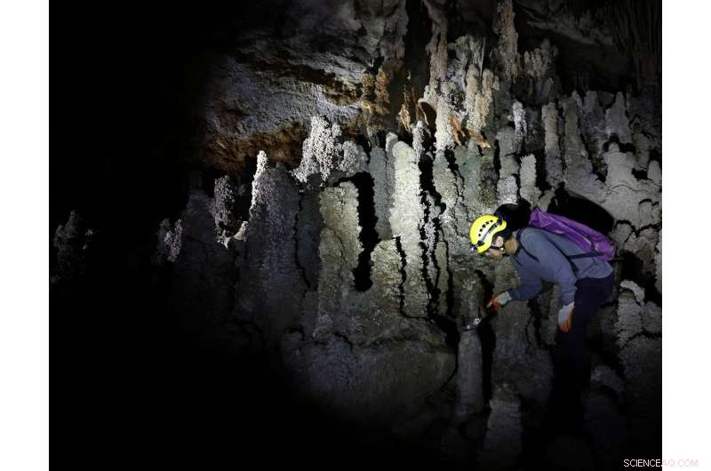 Stalagmite Records Uncover Rapid Magnetic Polarity Shifts in Earth s History
