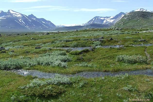Arctic Ecosystems Greening Amid Climate Change