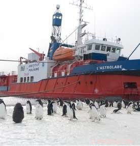 Antarctic Rift Findings Redefine Volcanic Evolution Timeline