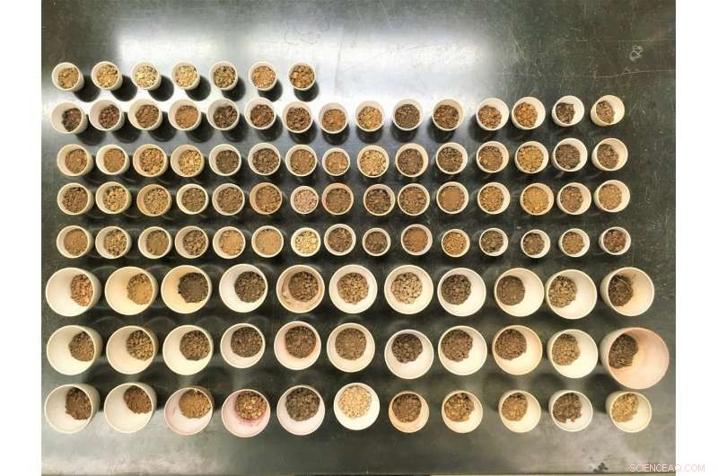 Study Finds Soil Carbon Stock Measurement Methods Are Not Interchangeable