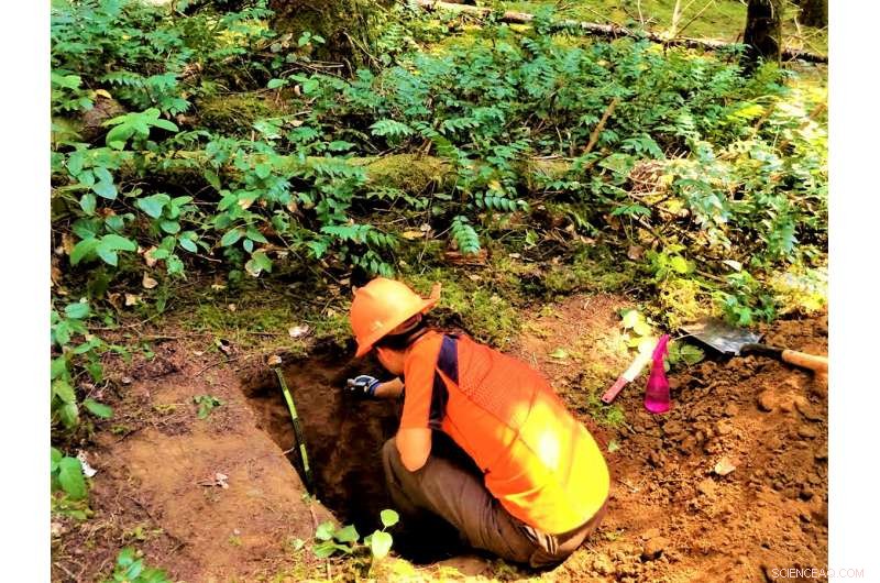 Study Finds Soil Carbon Stock Measurement Methods Are Not Interchangeable