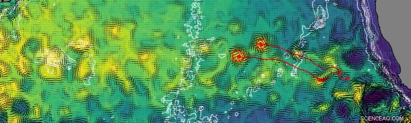 Efficient Eddies Transport Warm Water from South Africa to Brazil Across the Atlantic