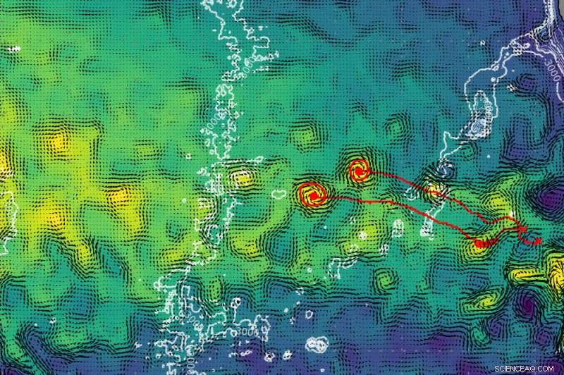 Efficient Eddies Transport Warm Water from South Africa to Brazil Across the Atlantic
