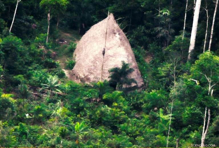 Drone Footage Reveals Isolated Brazilian Tribe in Amazon s Vale do Javari