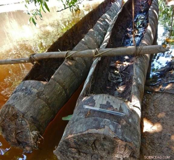 Drone Footage Reveals Isolated Brazilian Tribe in Amazon s Vale do Javari