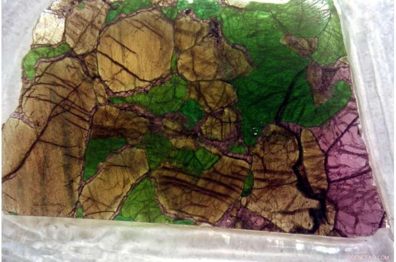 New Geological Findings Shed Light on Earth’s Biggest Mass Extinction