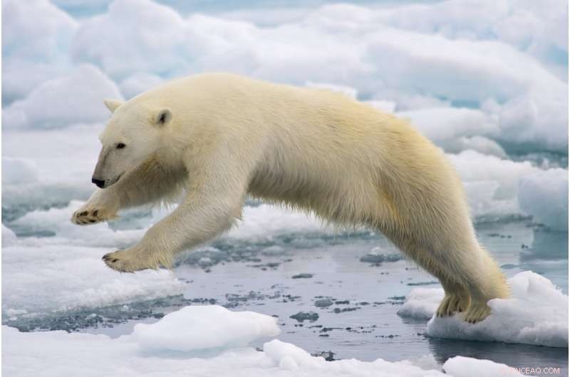 Arctic Pollutants Decline as Global Market Removal and Regulation Take Effect