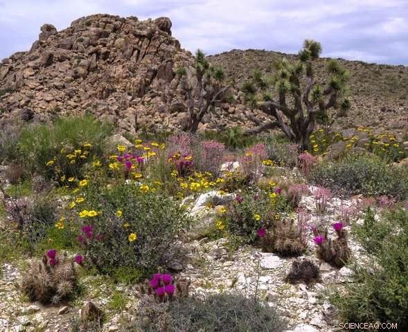 California Inland South Faces Heightened Weather Extremes Amid Climate Change