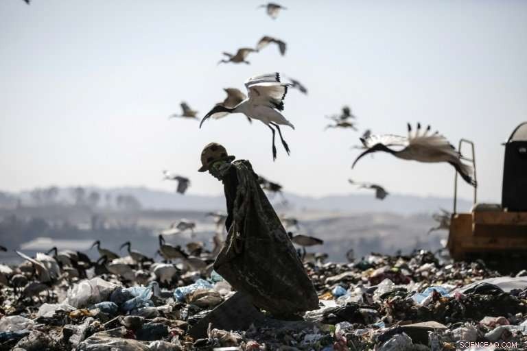 23 Global Cities Commit to Cutting Waste for 150 Million Residents