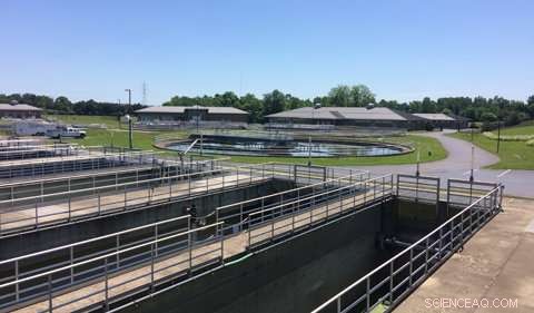 Scientists Examine Midge Fly Infestations in Ohio Wastewater Treatment Facilities