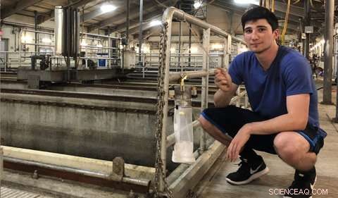 Scientists Examine Midge Fly Infestations in Ohio Wastewater Treatment Facilities