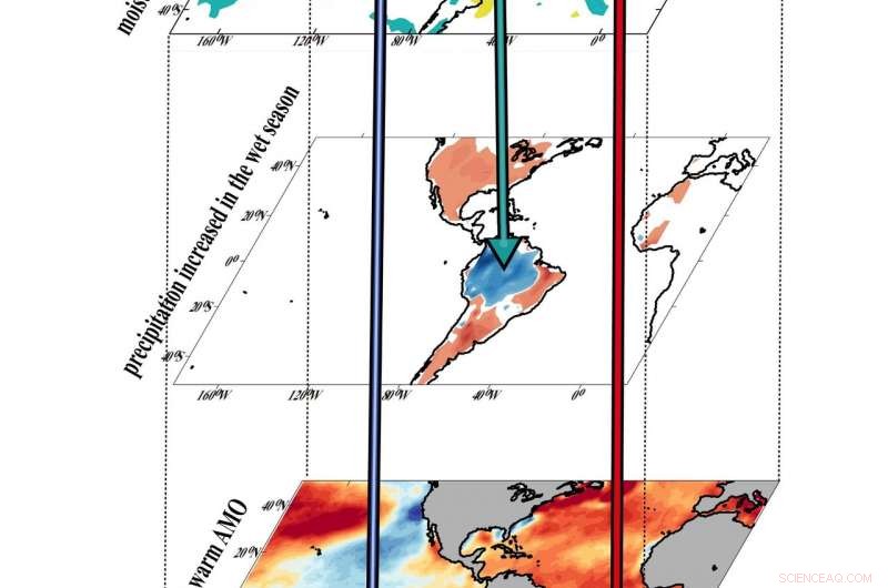 Amazon Basin Sees Rising Rainfall During Wet Season