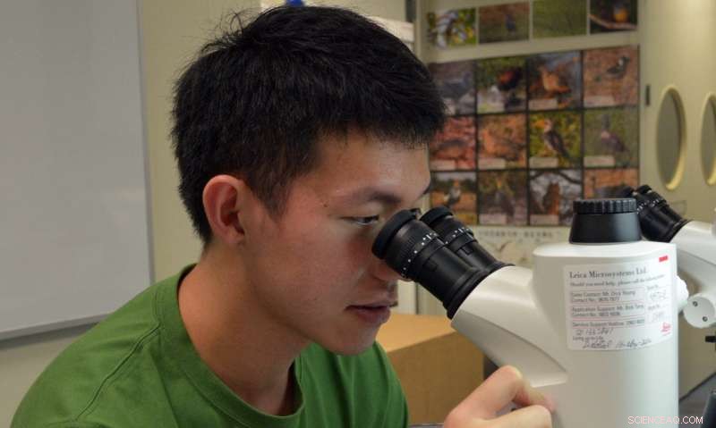 New Insights into East Asian Monsoon Dynamics