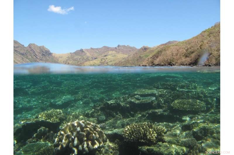 Fiji Scientists Reveal How Forest Conservation Safeguards Coral Reefs
