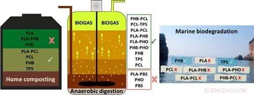Innovative Biodegradable Plastic Blends Pave Way for Sustainable Disposal Solutions