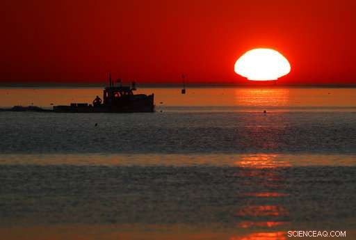 New England Waters Experience Record-Breaking Warmth This Year