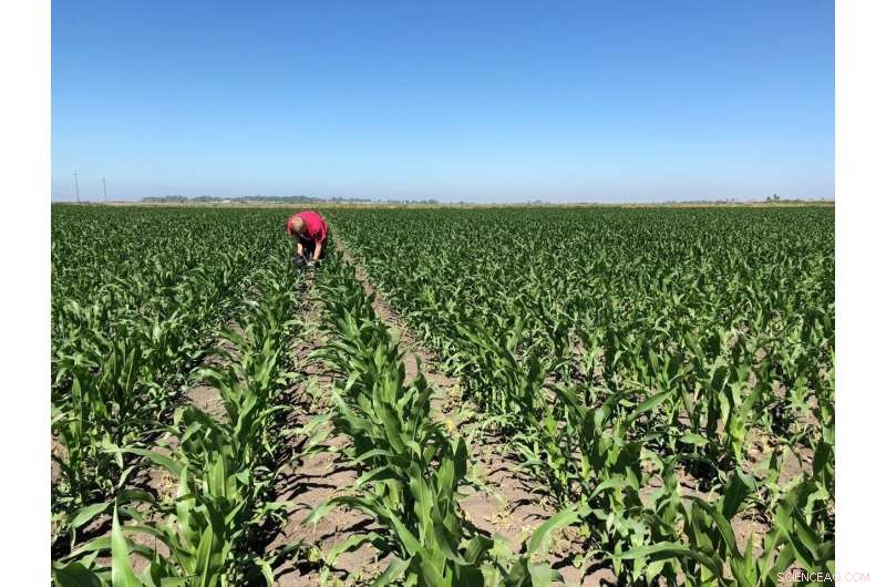 Boosting Soil Health to Mitigate Climate Change