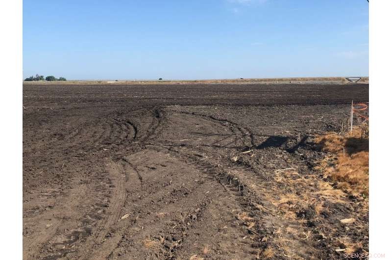 Boosting Soil Health to Mitigate Climate Change