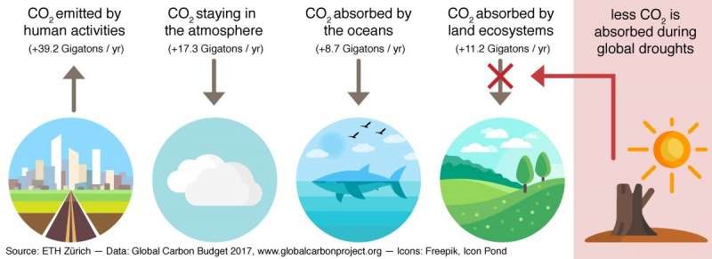 Drought Accelerates Atmospheric CO₂ Rise, Studies Show