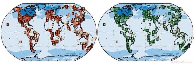 Prehistoric Vegetation Shifts Provide Key Insights into Earth s Future Ecosystems