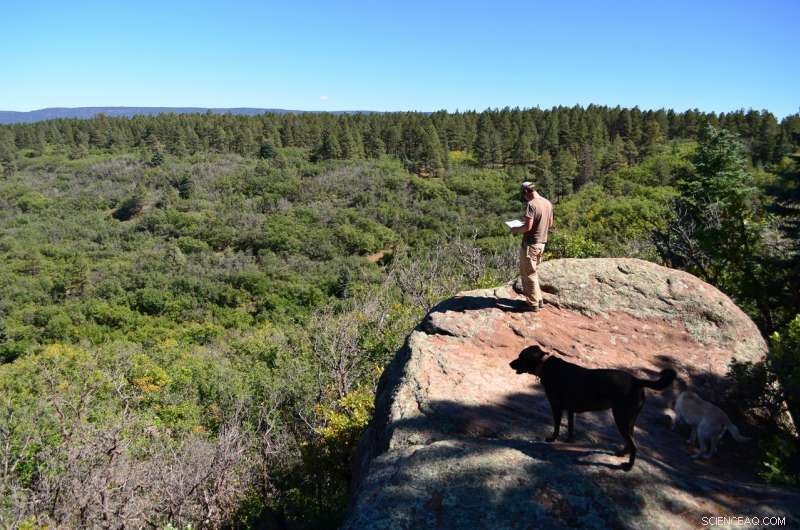 Prehistoric Vegetation Shifts Provide Key Insights into Earth s Future Ecosystems