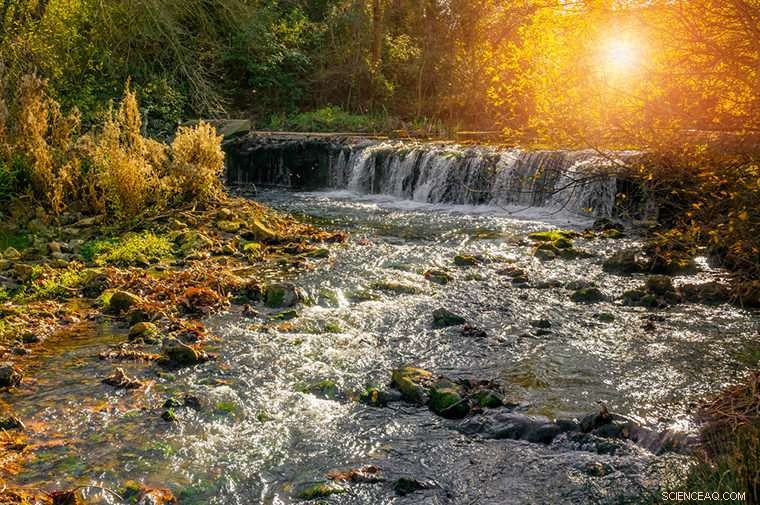 Accelerated Sulfurization of Organic Matter: New Findings from Issole River Sediment Study