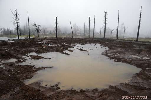 Climate Change Fuels Wildfires, Transforming the U.S. West