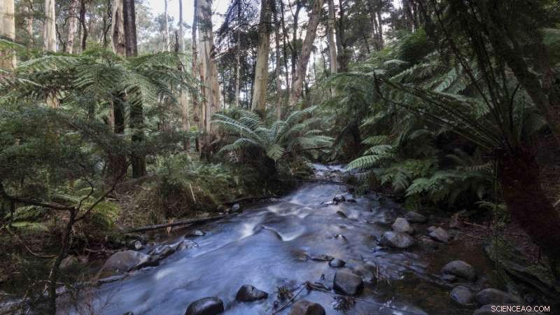Historic Vegetation Shifts Warn of a Troubling Climate Future