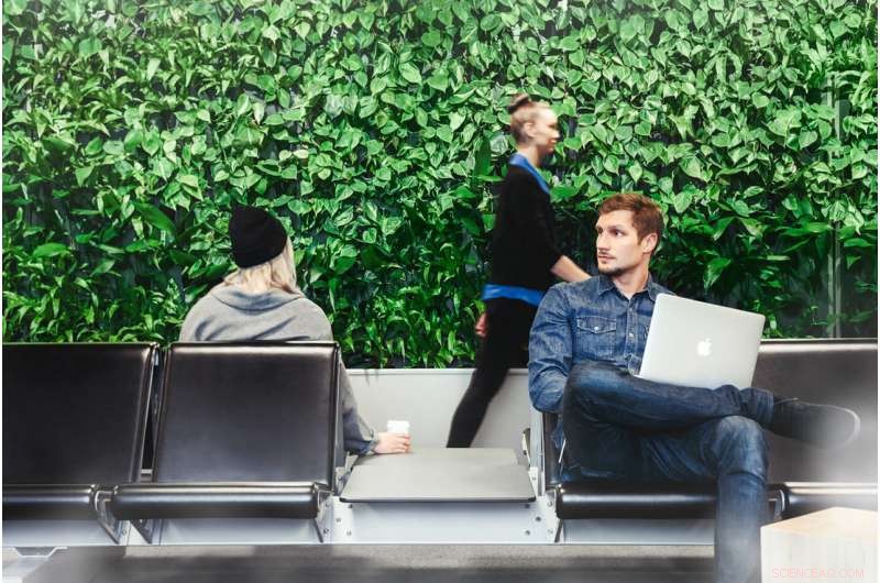 Artificial Forests Harness Light‑Based Chemistry to Purify Indoor Air