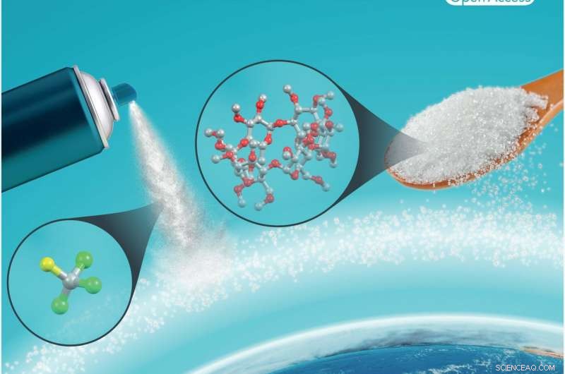 Innovative Ozone Protection: Sugar Molecules Bind and Neutralize Harmful CFCs