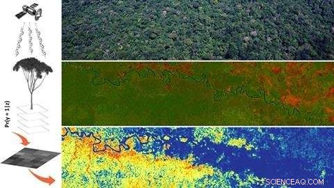 University of Turku Researchers Map Amazonian Tree Species Distributions