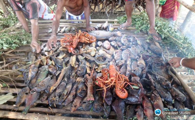 Can Sustainable Development Thrive Amid Modern Economic Growth?